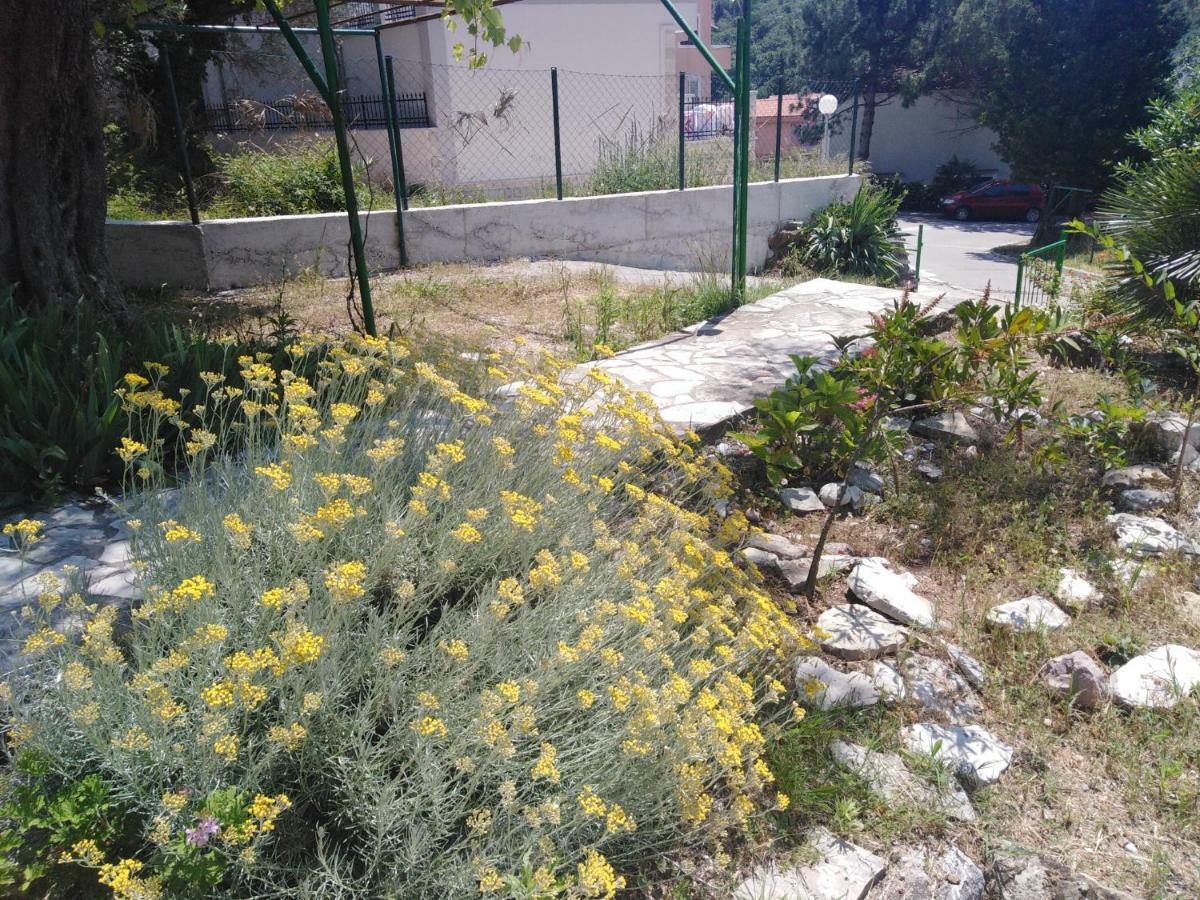 Apartments Mrvaljevic Petrovac Exterior photo